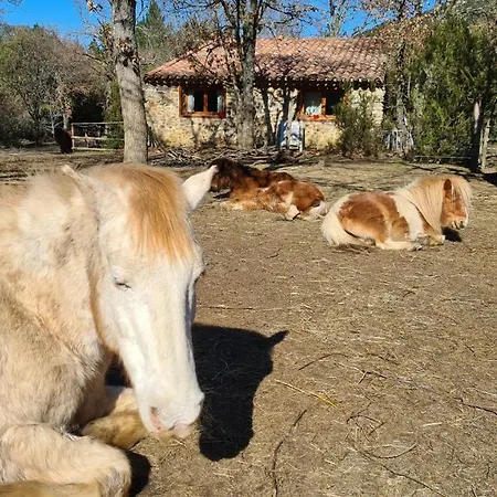 A La Ferme - Hautes-corbieres Дом отдыха