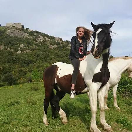 A La Ferme - Hautes-corbieres *