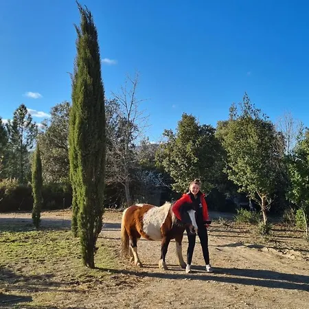 Дом отдыха A La Ferme - Hautes-corbieres *