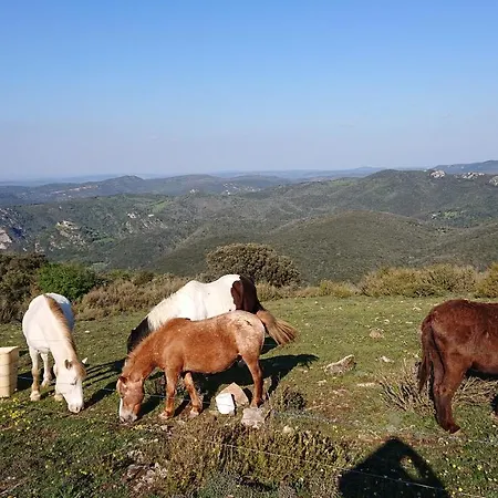 A La Ferme - Hautes-corbieres * Termes
