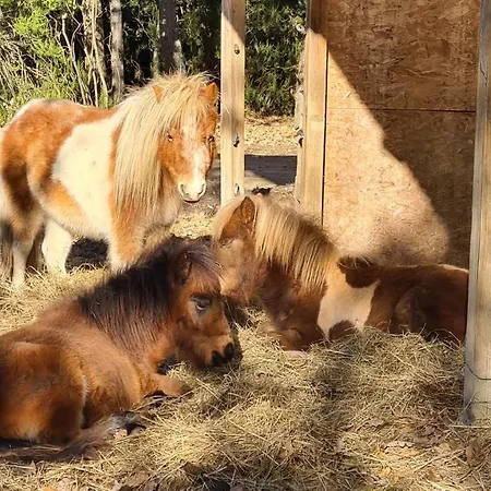 A La Ferme - Hautes-corbieres * Termes (Aude)