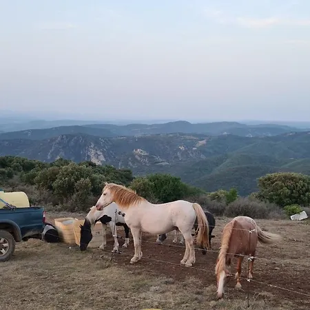 A La Ferme - Hautes-corbieres Ferienhaus *