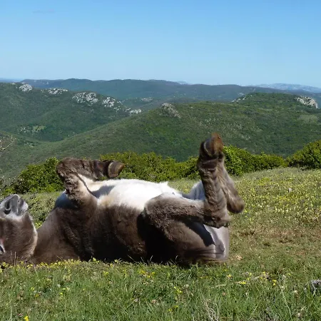 A La Ferme - Hautes-corbieres Termes