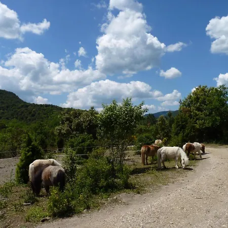 Дом отдыха A La Ferme - Hautes-corbieres Termes (Aude)