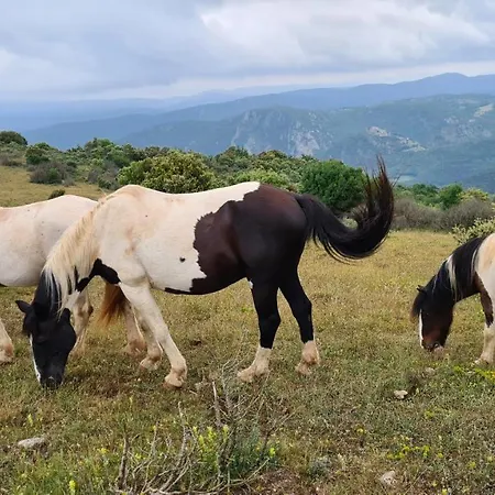 A La Ferme - Hautes-corbieres Termes (Aude)