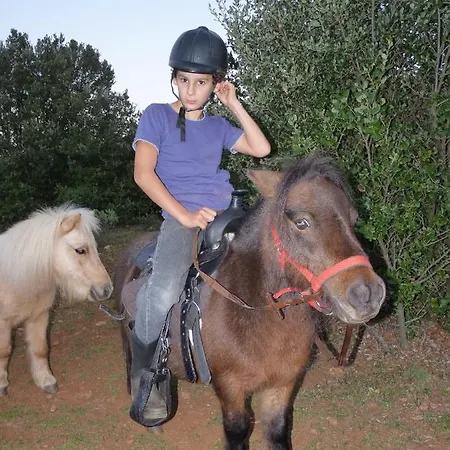 A La Ferme - Hautes-corbieres Holiday home *
