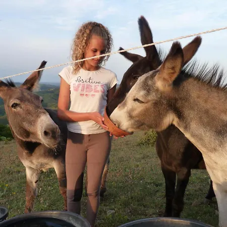 A La Ferme - Hautes-corbieres Termes