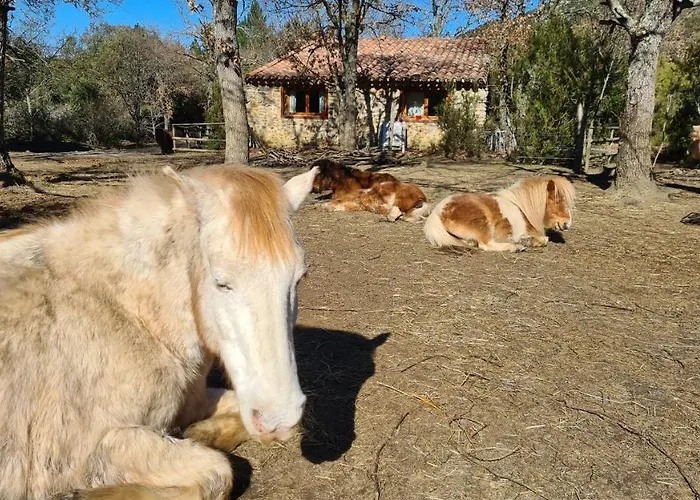 A La Ferme - Hautes-corbieres Сasa de vacaciones