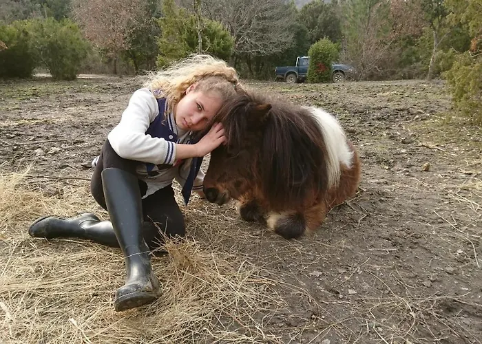 A La Ferme - Hautes-corbieres