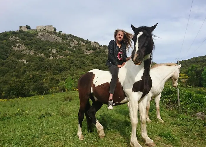 A La Ferme - Hautes-corbieres *