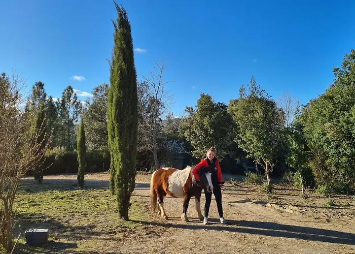 度假居 A La Ferme - Hautes-corbieres *
