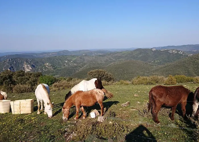 A La Ferme - Hautes-corbieres * Termes (Aude)