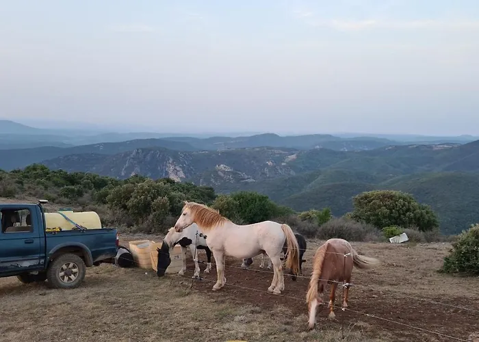 A La Ferme - Hautes-corbieres 度假居 *