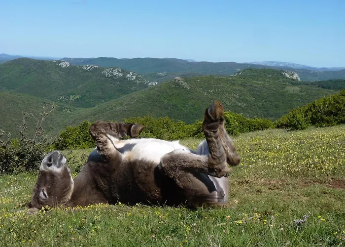 A La Ferme - Hautes-corbieres Termes (Aude)