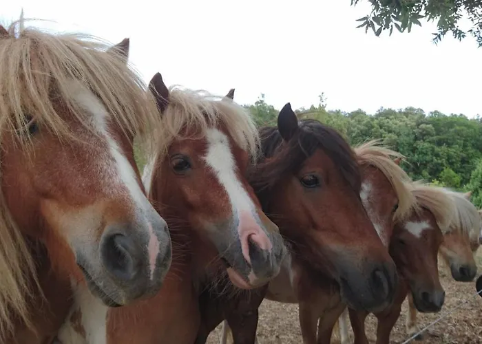 A La Ferme - Hautes-corbieres Сasa de vacaciones Termes (Aude)