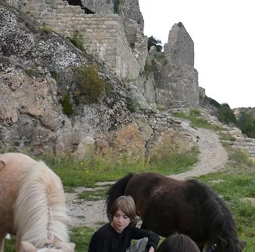度假居 A La Ferme - Hautes-corbieres