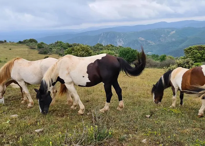 A La Ferme - Hautes-corbieres Termes (Aude)