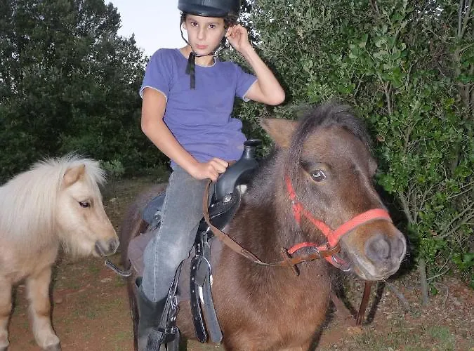 A La Ferme - Hautes-corbieres 度假居 *