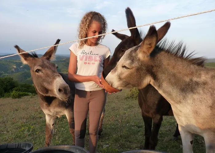 A La Ferme - Hautes-corbieres Termes (Aude)